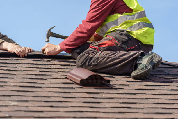 Best Metal Roofing Contractor  in Shafer, MN