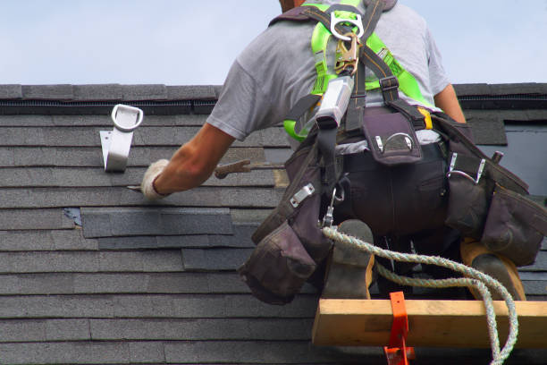 Best Roof Waterproofing Services  in Shafer, MN