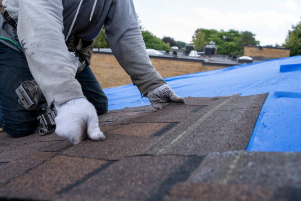 Best Commercial Roofing Services  in Shafer, MN
