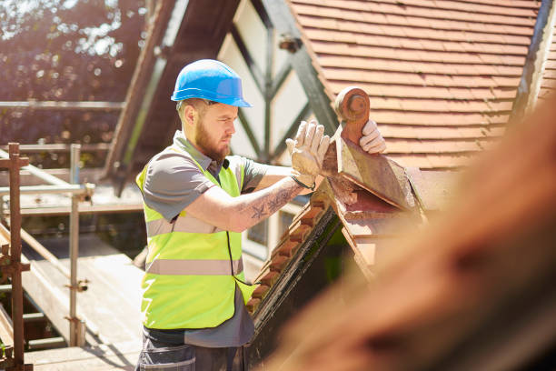 Best New Roof Installation  in Shafer, MN