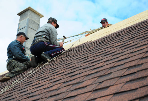 Best Roof Maintenance Services  in Shafer, MN