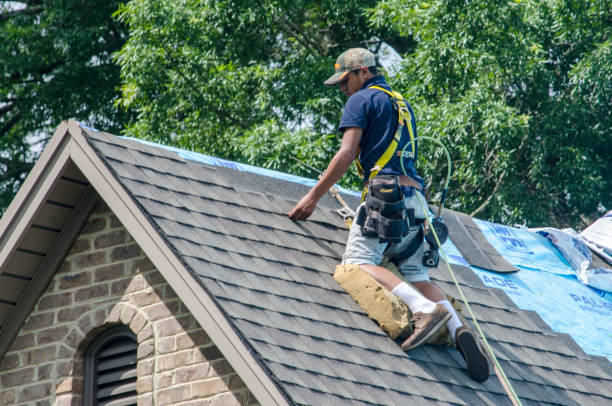 Best Roof Leak Repair  in Shafer, MN
