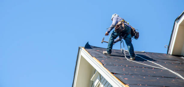 Best Roof Repair Services  in Shafer, MN